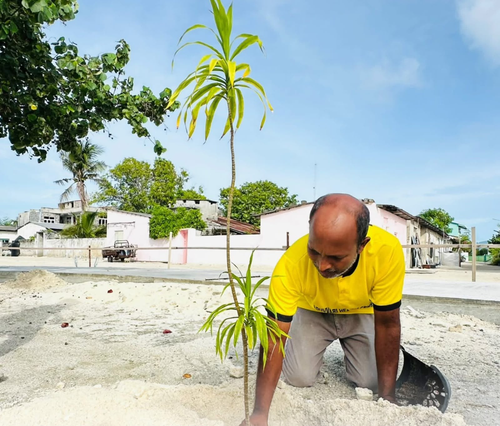 2026 ވަނަ އަހަރުގެ ދުނިޔޭގެ ތިމާވެށިގެ ދުވަސް ފާހަގަކުރުމަށް ކައުންސިލްގެ ފަރާތުން ކުރިޔަށް ގެންގޮސްފައިވާ ގަސް އިންދުމުގެ ހަރަކާތް އަދި އ.ތ.މ ކޮމިޓީގެ ފަރާތުން ކުރިޔަށްގެންދިޔަ ރަށުގެ ހޭޅިފަށް ސާފުކުރުމުގެ ހަރަކާތް