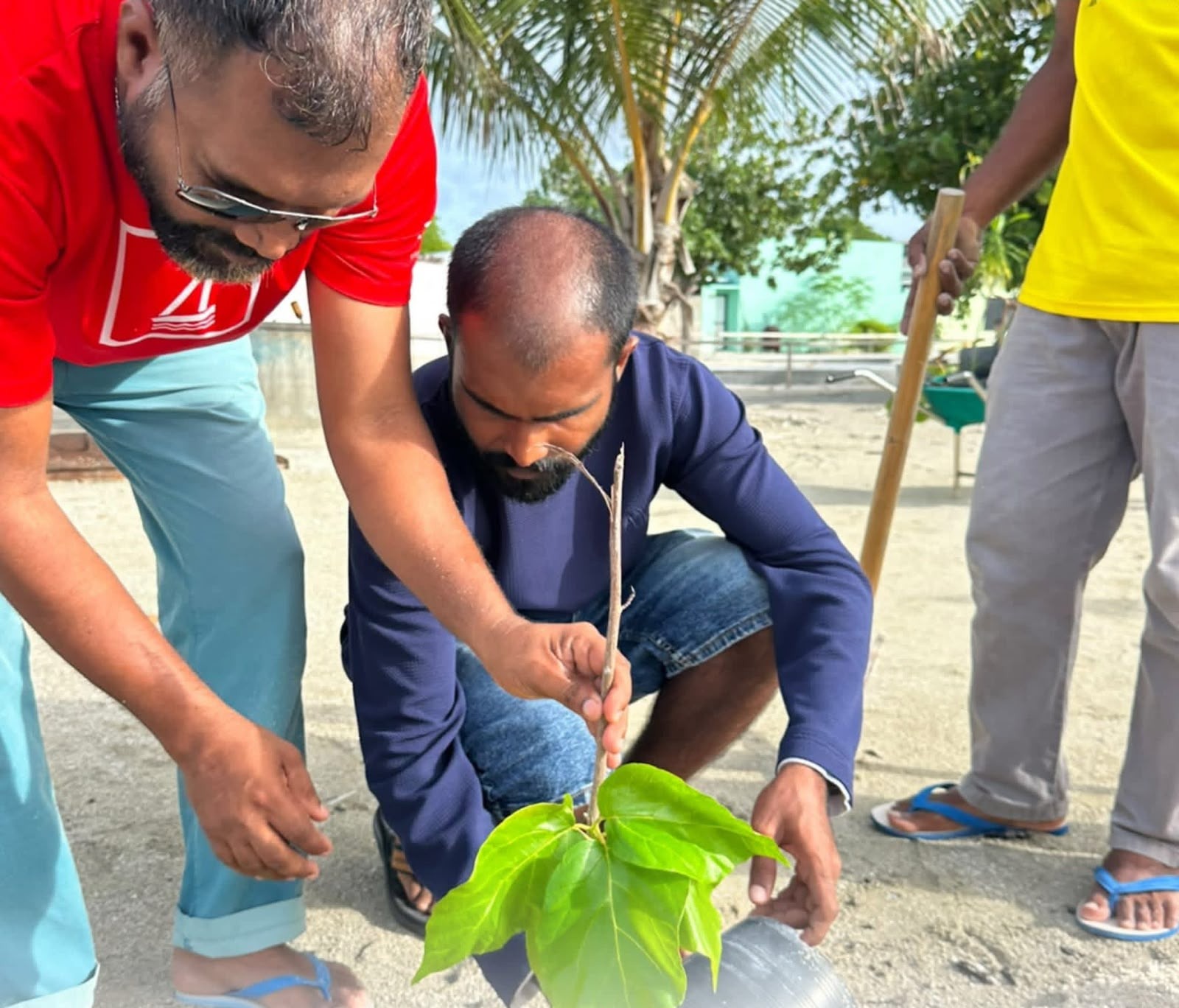 2026 ވަނަ އަހަރުގެ ދުނިޔޭގެ ތިމާވެށިގެ ދުވަސް ފާހަގަކުރުމަށް ކައުންސިލްގެ ފަރާތުން ކުރިޔަށް ގެންގޮސްފައިވާ ގަސް އިންދުމުގެ ހަރަކާތް އަދި އ.ތ.މ ކޮމިޓީގެ ފަރާތުން ކުރިޔަށްގެންދިޔަ ރަށުގެ ހޭޅިފަށް ސާފުކުރުމުގެ ހަރަކާތް